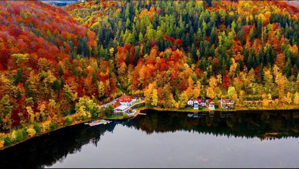 Fregata Bed & Breakfast Zagorze Slaskie Bagian luar foto